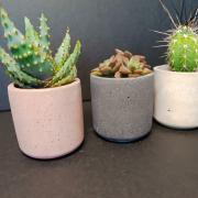 IMG-20241202-WA0043