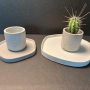 IMG-20241202-WA0086