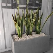 IMG20200618085850