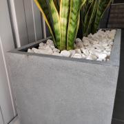 IMG20200618085903